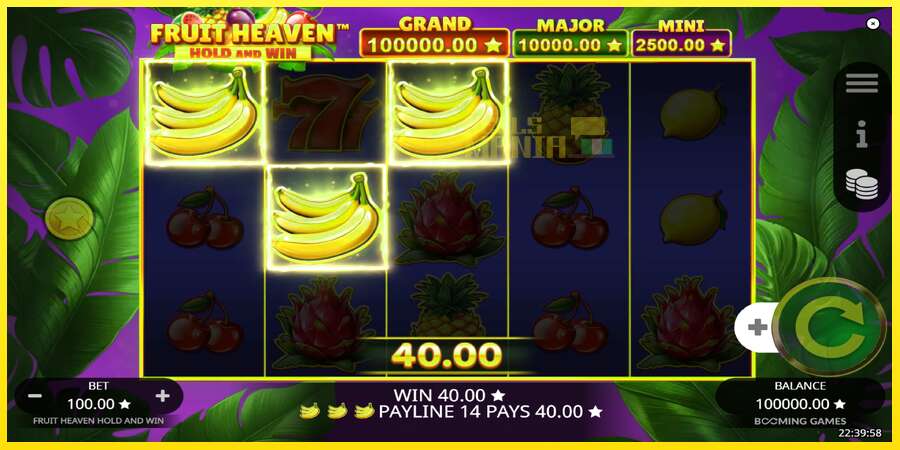 Riktiga pengar med en spelautomat Fruit Heaven Hold and Win, bild 4