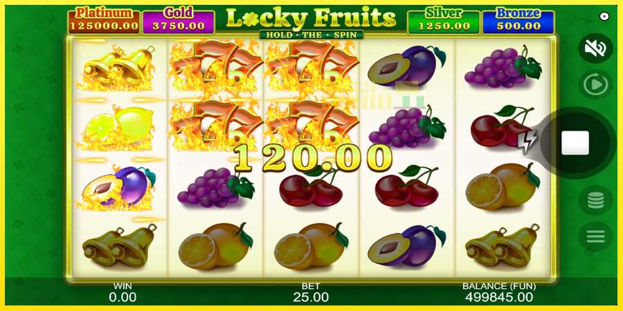 Riktiga pengar med en spelautomat Locky Fruits: Hold the Spin, bild 3