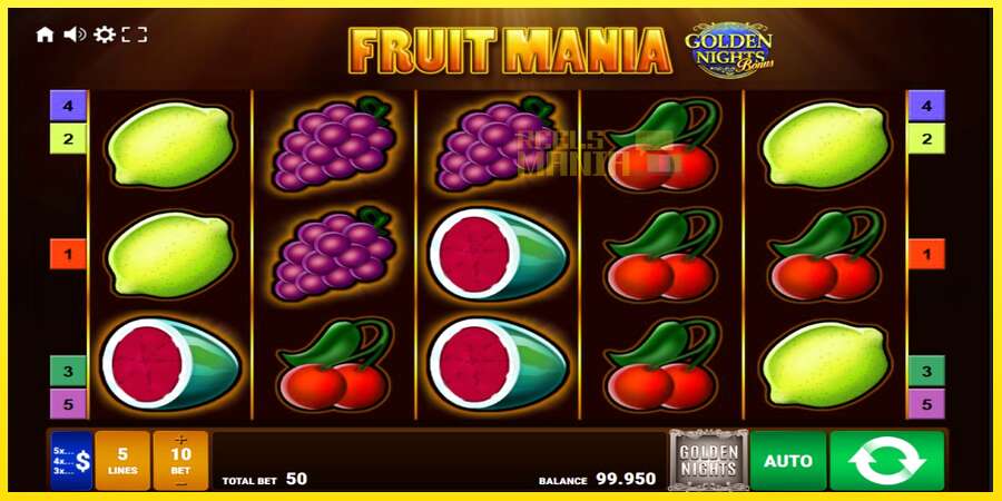 Riktiga pengar med en spelautomat Fruit Mania Golden Nights, bild 1