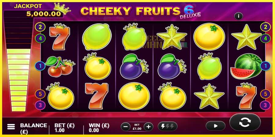 Riktiga pengar med en spelautomat Cheeky Fruits 6 Deluxe, bild 2