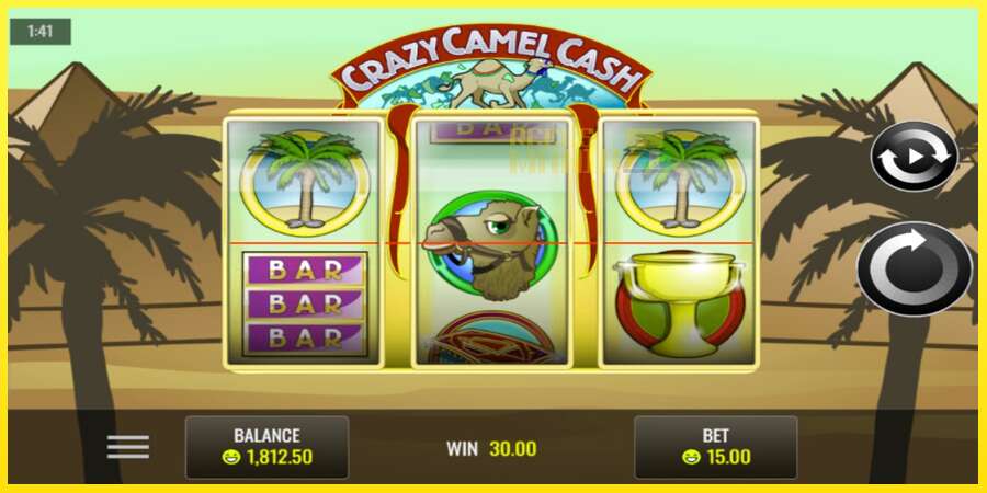 Riktiga pengar med en spelautomat Crazy Camel Cash, bild 3