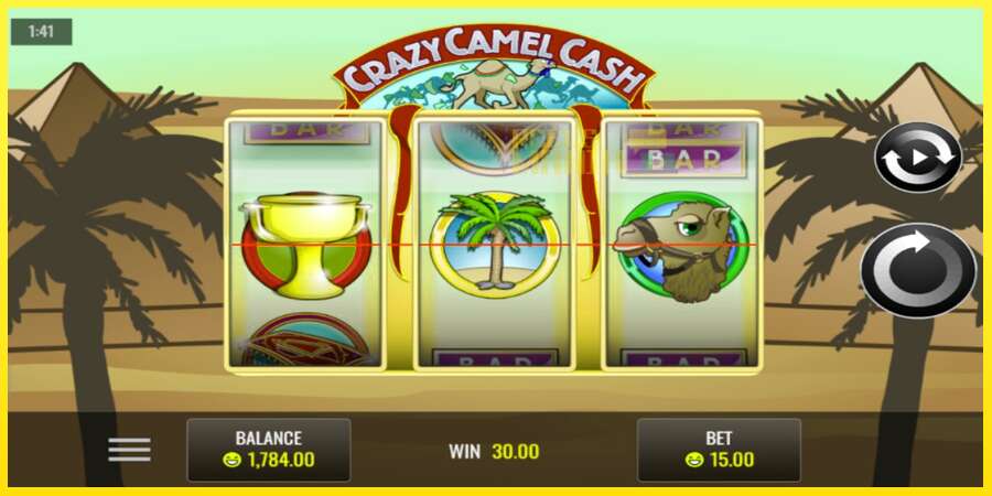 Riktiga pengar med en spelautomat Crazy Camel Cash, bild 4