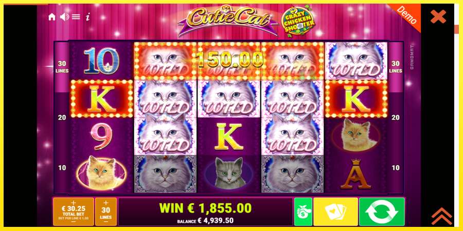 Riktiga pengar med en spelautomat Cutie Cat, bild 4