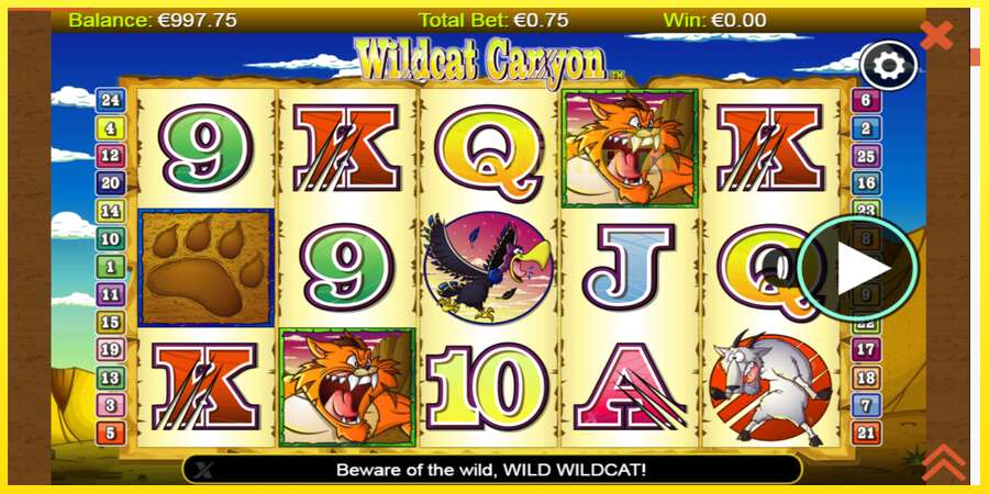 Riktiga pengar med en spelautomat Wildcat Canyon, bild 1