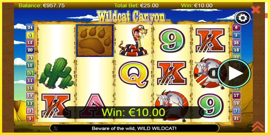 Riktiga pengar med en spelautomat Wildcat Canyon, bild 2