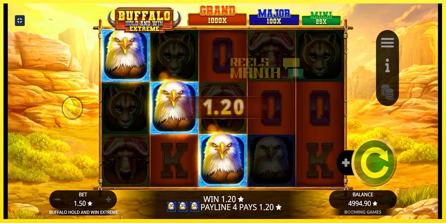 Riktiga pengar med en spelautomat Buffalo Hold and Win Extreme, bild 3