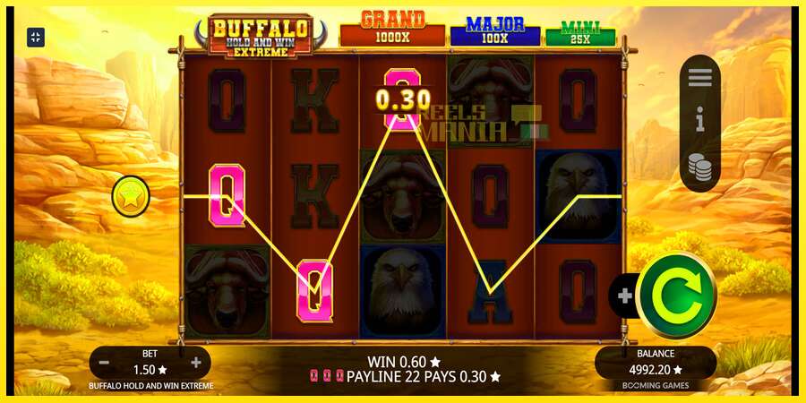 Riktiga pengar med en spelautomat Buffalo Hold and Win Extreme, bild 4