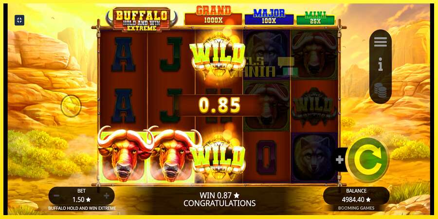 Riktiga pengar med en spelautomat Buffalo Hold and Win Extreme, bild 6