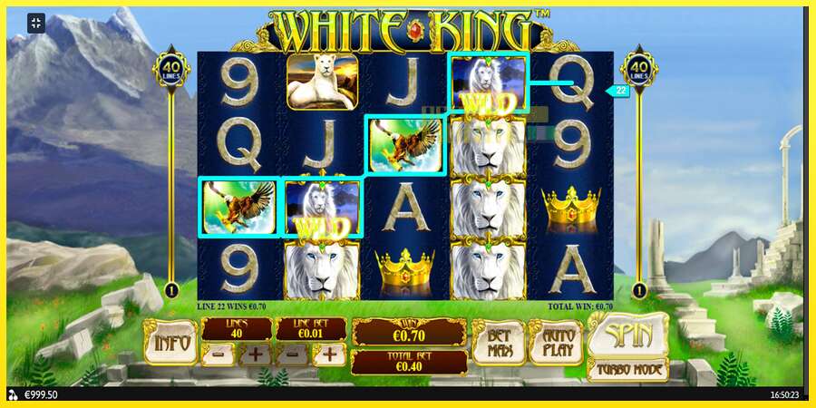 Riktiga pengar med en spelautomat White King, bild 2