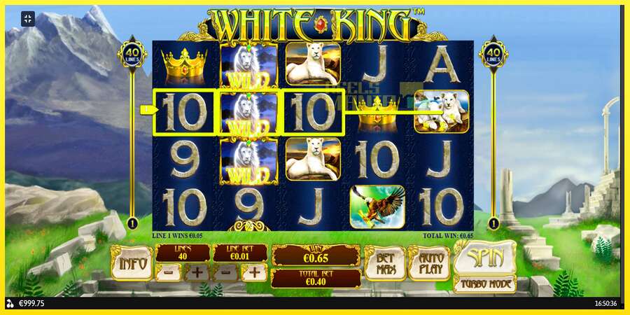 Riktiga pengar med en spelautomat White King, bild 3