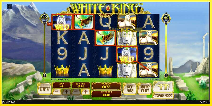 Riktiga pengar med en spelautomat White King, bild 4