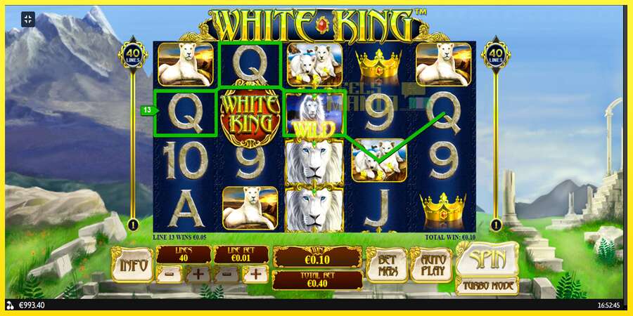 Riktiga pengar med en spelautomat White King, bild 8