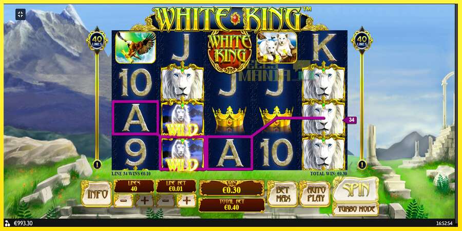 Riktiga pengar med en spelautomat White King, bild 9