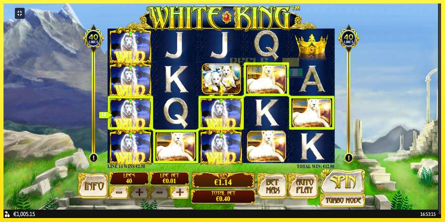 Riktiga pengar med en spelautomat White King, bild 11