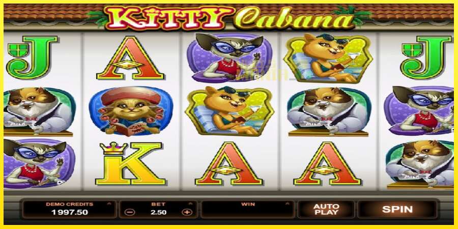 Riktiga pengar med en spelautomat Kitty Cabana, bild 2