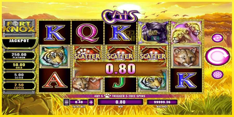 Riktiga pengar med en spelautomat Fort Knox Cats, bild 3