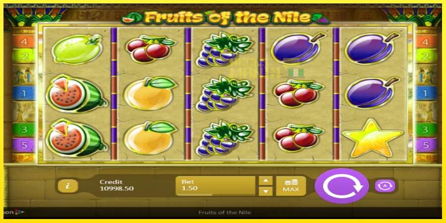 Riktiga pengar med en spelautomat Fruits of the Nile, bild 3