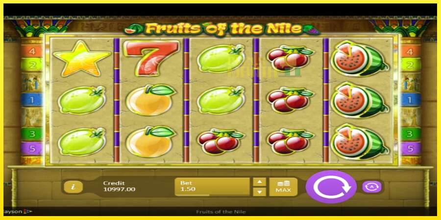 Riktiga pengar med en spelautomat Fruits of the Nile, bild 4