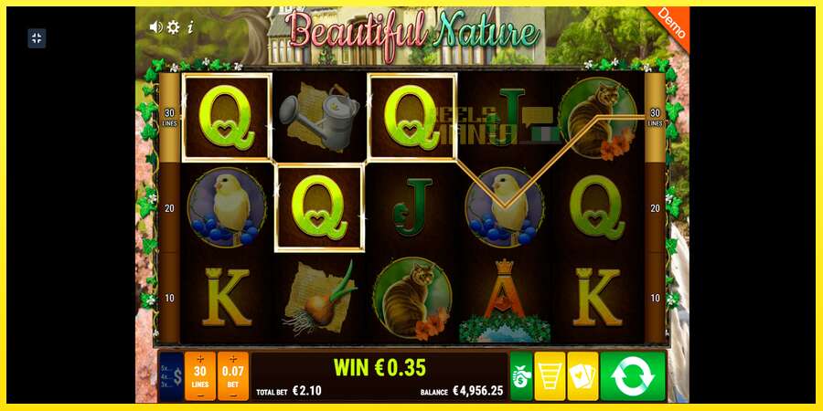 Riktiga pengar med en spelautomat Beautiful Nature, bild 5