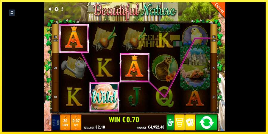 Riktiga pengar med en spelautomat Beautiful Nature, bild 7