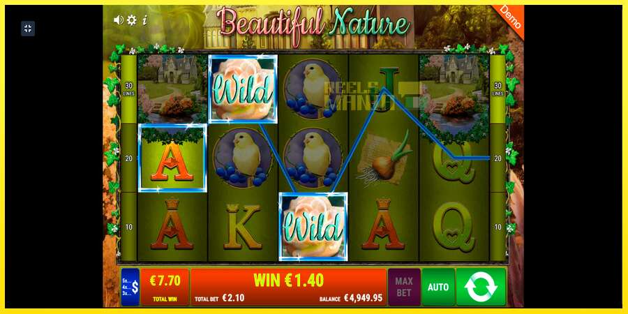 Riktiga pengar med en spelautomat Beautiful Nature, bild 9