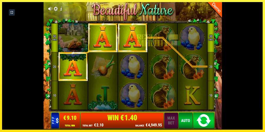 Riktiga pengar med en spelautomat Beautiful Nature, bild 10