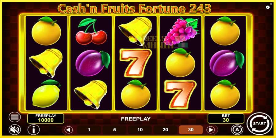 Riktiga pengar med en spelautomat Cashn Fruits Fortune 243, bild 2