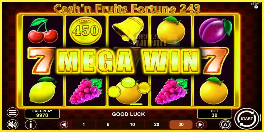 Riktiga pengar med en spelautomat Cashn Fruits Fortune 243, bild 3