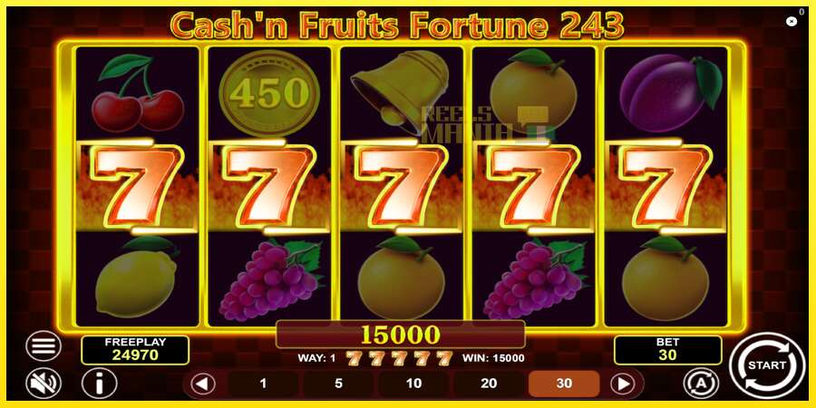 Riktiga pengar med en spelautomat Cashn Fruits Fortune 243, bild 4