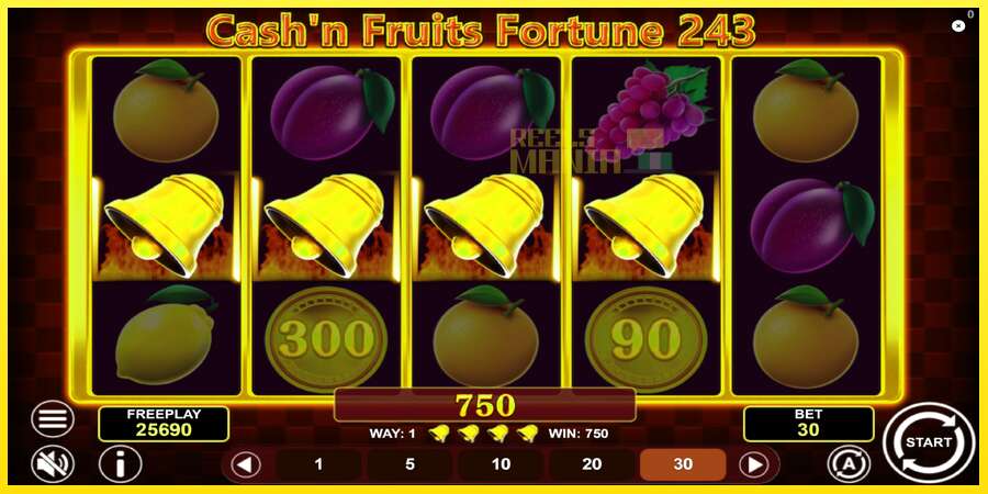 Riktiga pengar med en spelautomat Cashn Fruits Fortune 243, bild 5