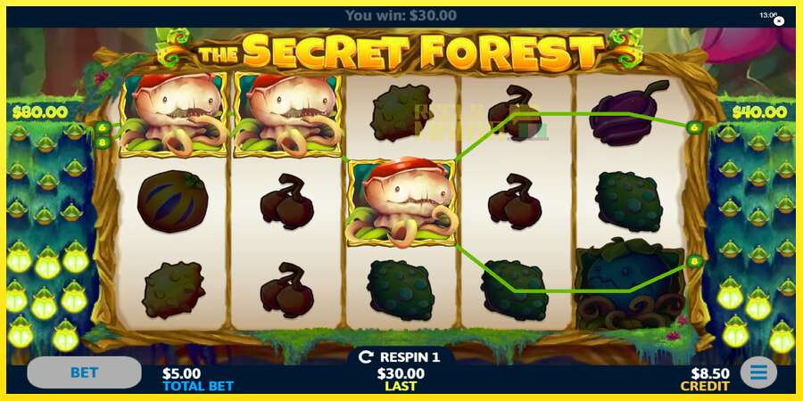 Riktiga pengar med en spelautomat The Secret Forest, bild 3