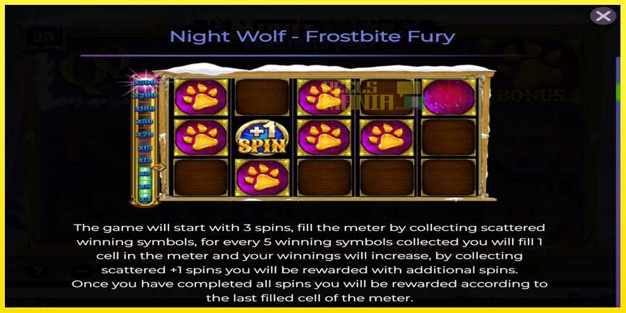 Riktiga pengar med en spelautomat Night Wolf - Frostbite Fury, bild 5