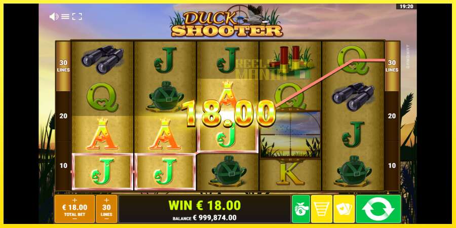 Riktiga pengar med en spelautomat Duck Shooter, bild 2