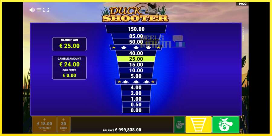 Riktiga pengar med en spelautomat Duck Shooter, bild 4