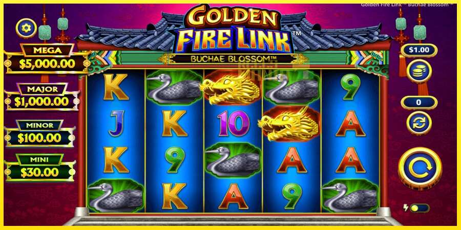 Riktiga pengar med en spelautomat Golden Fire Link Buchae Blossom, bild 1