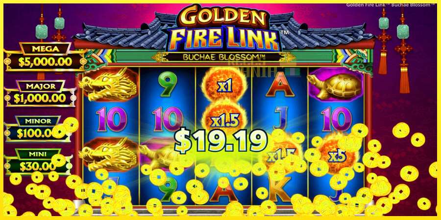 Riktiga pengar med en spelautomat Golden Fire Link Buchae Blossom, bild 4