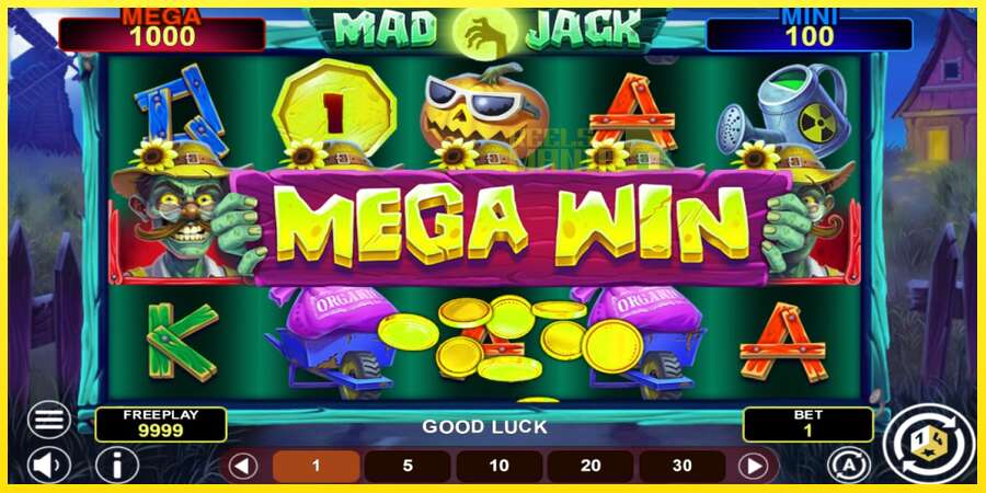 Riktiga pengar med en spelautomat Mad Jack Hold & Win, bild 2