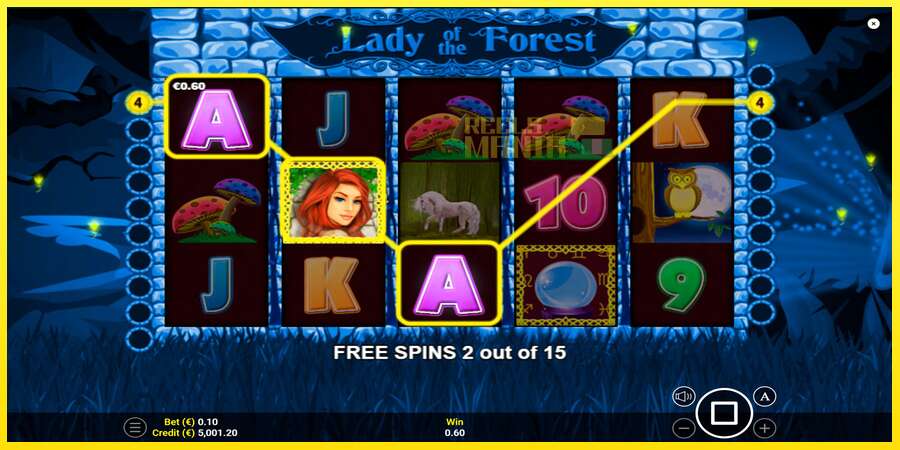 Riktiga pengar med en spelautomat Lady of the Forest, bild 2