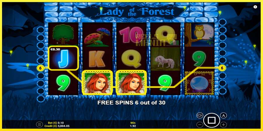 Riktiga pengar med en spelautomat Lady of the Forest, bild 4